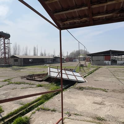 Продажа дом — населённый пункт Балта