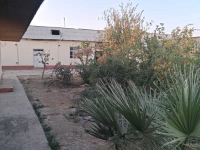 Uy hovli sotiladi 12 sotix