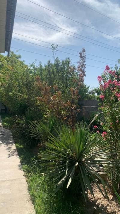 Продаётся Дом, 2 этажные, Старый Сергели