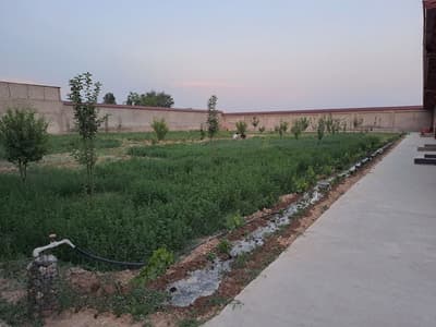 Чингелди М.Улугбекский р-н! Про-ся 25-соток дом 6-комнат