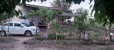 Ҳовли уй жой сотилади ферма қилиш учун мўлжалланган