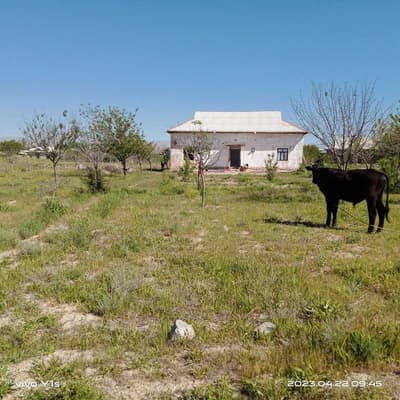 Uy sotiladi 15 sotix