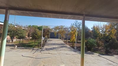 Termiz SENTR tomondagi Hovli Uy Sotiladi SNOSGA qoʻyilmagan