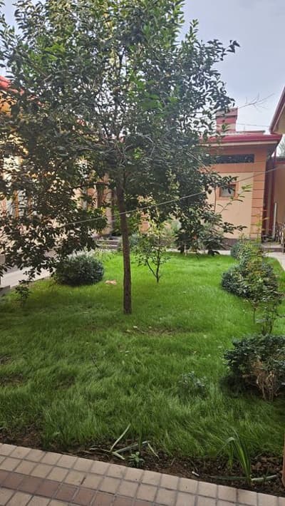 Супер локация 5 сотихли ховли Мирзо Улугбек тумани Геофизика Хислатда