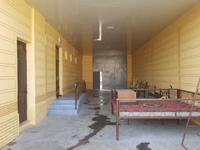 Kotej sotiladi 6 sotik