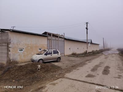 Ferma Yangi yo'lda sotildi Hamroqulda