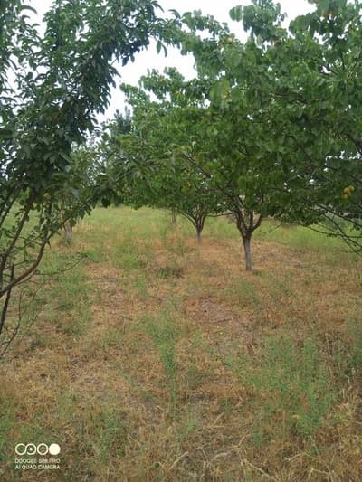 Уй,ер,дом,дача,сотилади,1хона,17 сотх,ер унумдор,кадастр хужжатлар бор