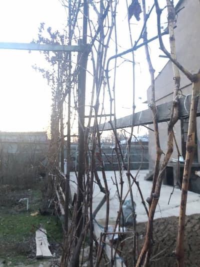 Продается участка