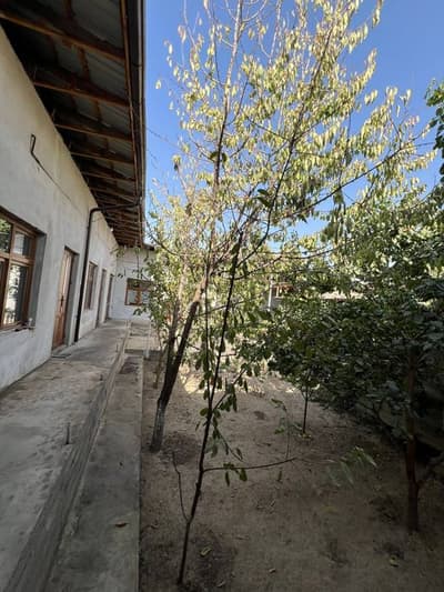 Мирабадский Районе