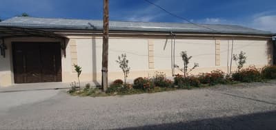 Koʻk terak qaynamada 5-sutuk 7-xona