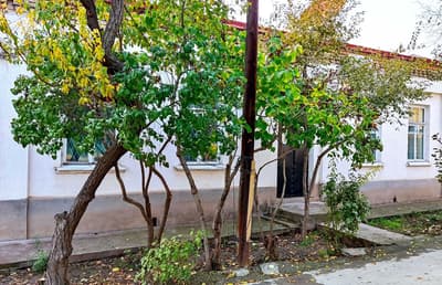 Дом в центре. Собственник. Хороший торг для реального покупателя.