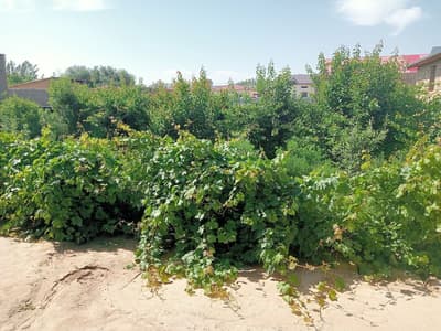 Uy sotiladi srochniy