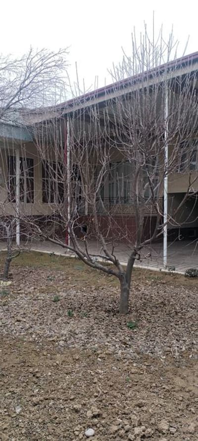 Уй сотилади Юнусобод 6 сотик.