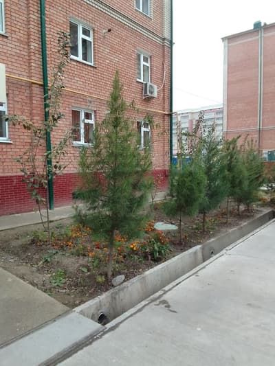 Срочно сотилади 3 хона. 4 хона қилинган 1 этаж орқа олди огородлари бо