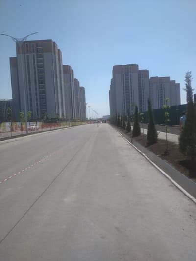 Dom yangihayot, nurhayot