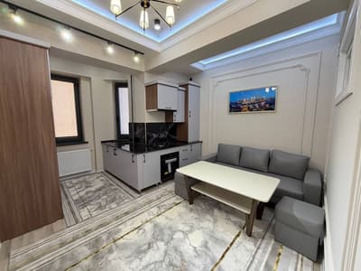 Новостройка 3х комнатная студия 53 кв Элит Билдинг