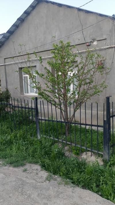 Продается свой дом участок