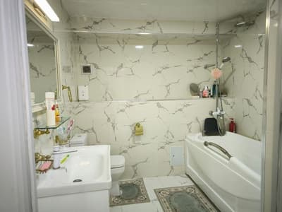 Парк янги Узбекистан,  Мирзо-Улугбекский район