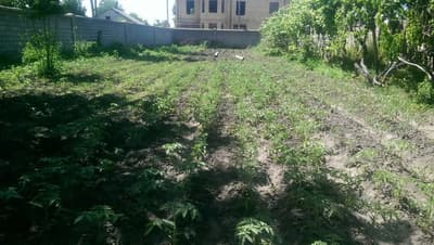 Ховли сотилади. Урта Чирчикда