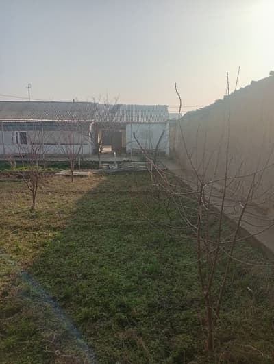 Hovli sotiladi yoshlik mahallada 3 so'tix